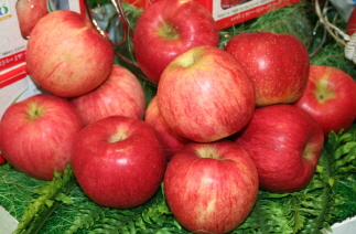 Fresh Fruit - Apple  Made in Korea